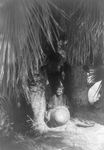 Cahuilla Woman Under Palms