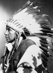 Sego, Shoshone Indian