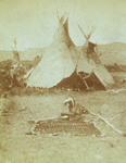 Nez Perce Indians and Tipis