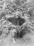 Man in Bear Costume