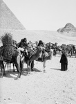 Bedouin Caravan at the Egyptian Pyramids