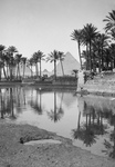 Native Village, Palm Trees and Egyptian Pyramids