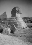 Profile of the Great Sphinx