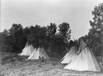 Assiniboine Indian Camp With Tipis
