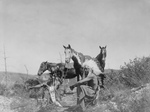 Three Crow Native Americans and Horses