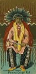 Ponca Chief