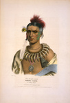 Ioway Native American Indian Chief Called Ma-Has-Kah, White Clou