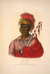 Ioway Native American Warrior, Tah-Ro-Hon
