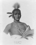 Moa-Na-Hon-Ga/Great Walker, Ioway Indian Chief
