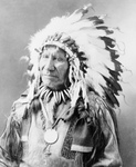 Chief American Horse, Sioux Indian