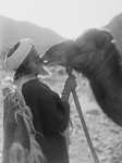 Camel Kissing His Master
