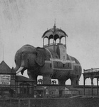 Elephant Bazaar at Coney Island