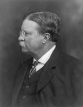 Roosevelt in 1913