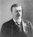 Roosevelt in 1902