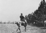 Theodore Roosevelt on a Horse