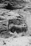 The Lion Monument at Petra