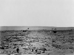 Arica After 1868 Earthquake