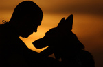 Man and Dog Watching Sunset