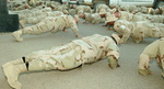 Soldiers Doing Pushups