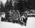 Horses Pulling a Sleigh of Logs
