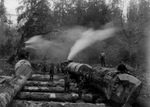 Steam Logging