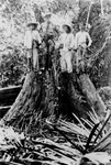 Men on a Stump