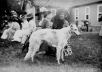 Russian Wolf Hound at a Mineola Dog Show