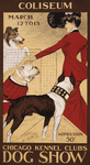 Woman Petting a Pitbull, Bulldog and Collie
