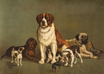 Group of Dogs on a Wooden Floor