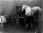 Girl With a Smart Horse