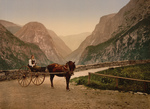 Norwegian Woman in a Carriage, Hardanger Fjord