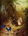 Butterfly Hunter With a Net in a Forest