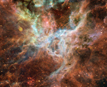 Photo of the Tarantula Nebula (30 Doradus, NGC 2070)