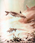 Clipart Image Illustration of Channel Catfish Swimming by a Crawdad and Fishing Hook