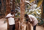 African Children Getting Their Height Measured Against a Tree