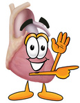 Clip Art Graphic of a Human Heart Cartoon Character Waving and Pointing
