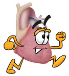 Clip Art Graphic of a Human Heart Cartoon Character Running