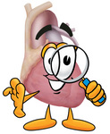 Clip Art Graphic of a Human Heart Cartoon Character Looking Through a Magnifying Glass