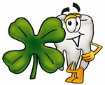 Clip Art Graphic of a Human Molar Tooth Character With a Green Four Leaf Clover on St Paddy’s or St Patricks Day