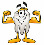 Clip Art Graphic of a Human Molar Tooth Character Flexing His Arm Muscles