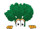 Clip Art Graphic of a Broccoli Mascot Character Peeking Over a Surface With a Scared Expression