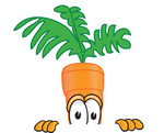 Clip Art Graphic of an Organic Veggie Carrot Mascot Character Peeking Over a Surface