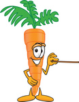 Clip Art Graphic of an Organic Veggie Carrot Mascot Character Using a Pointer Stick and Pointing to the Right