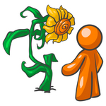 Clip Art Graphic of an orange guy character standing in front of his giant sunflower in his garden
